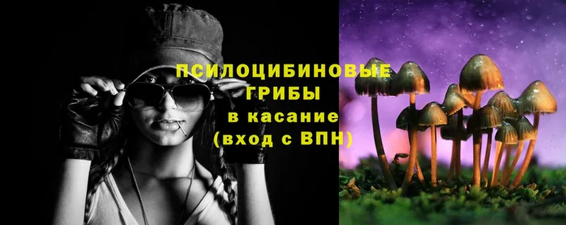 даркнет сайт  Юрьев-Польский  mega ссылка  Галлюциногенные грибы Psilocybine cubensis 